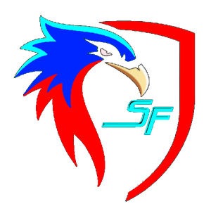 SpaceFalcons Logo