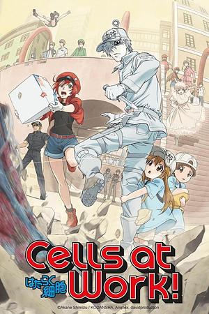 Cells at Work! - Staffel 1 [2018] + OVA