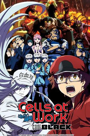 Cells at Work! - Staffel C [2021] (Code Black)