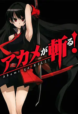 Akame ga Kill! – Schwerter der Assassinen [2014]