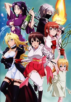 Sekirei - Staffel 2 [2010] (Pure Engagement) + OVA